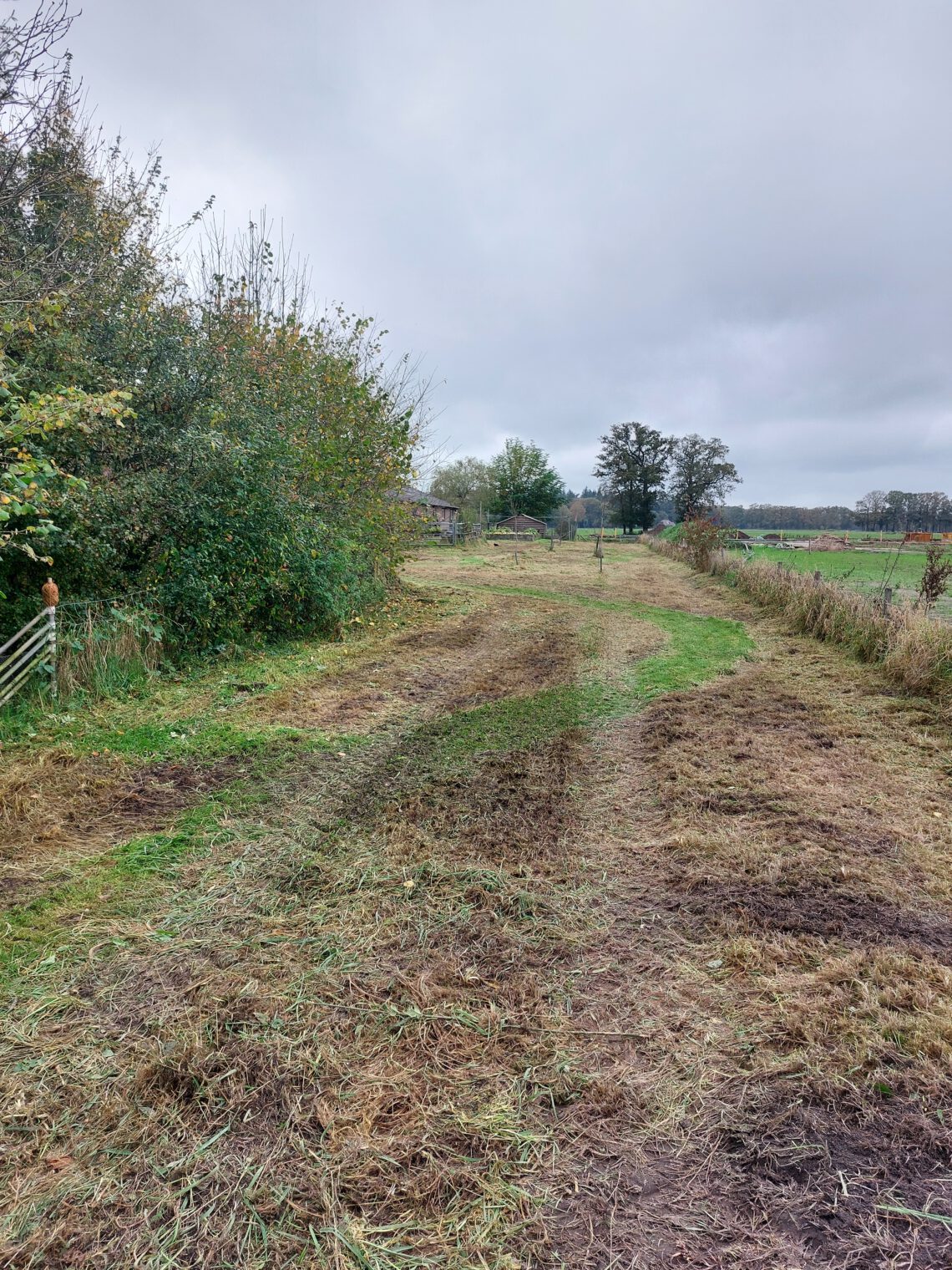 bloemenweide gemaaid