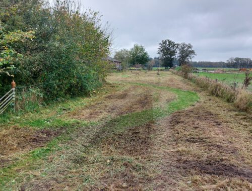 bloemenweide gemaaid