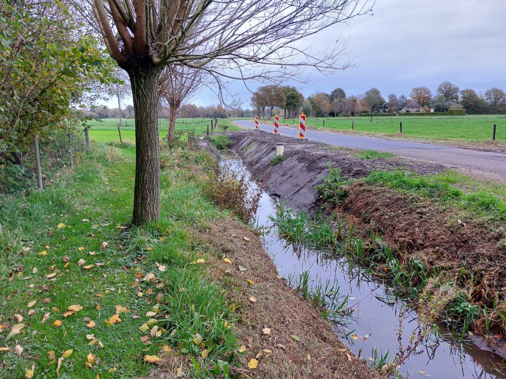 sloot met knotwilgen