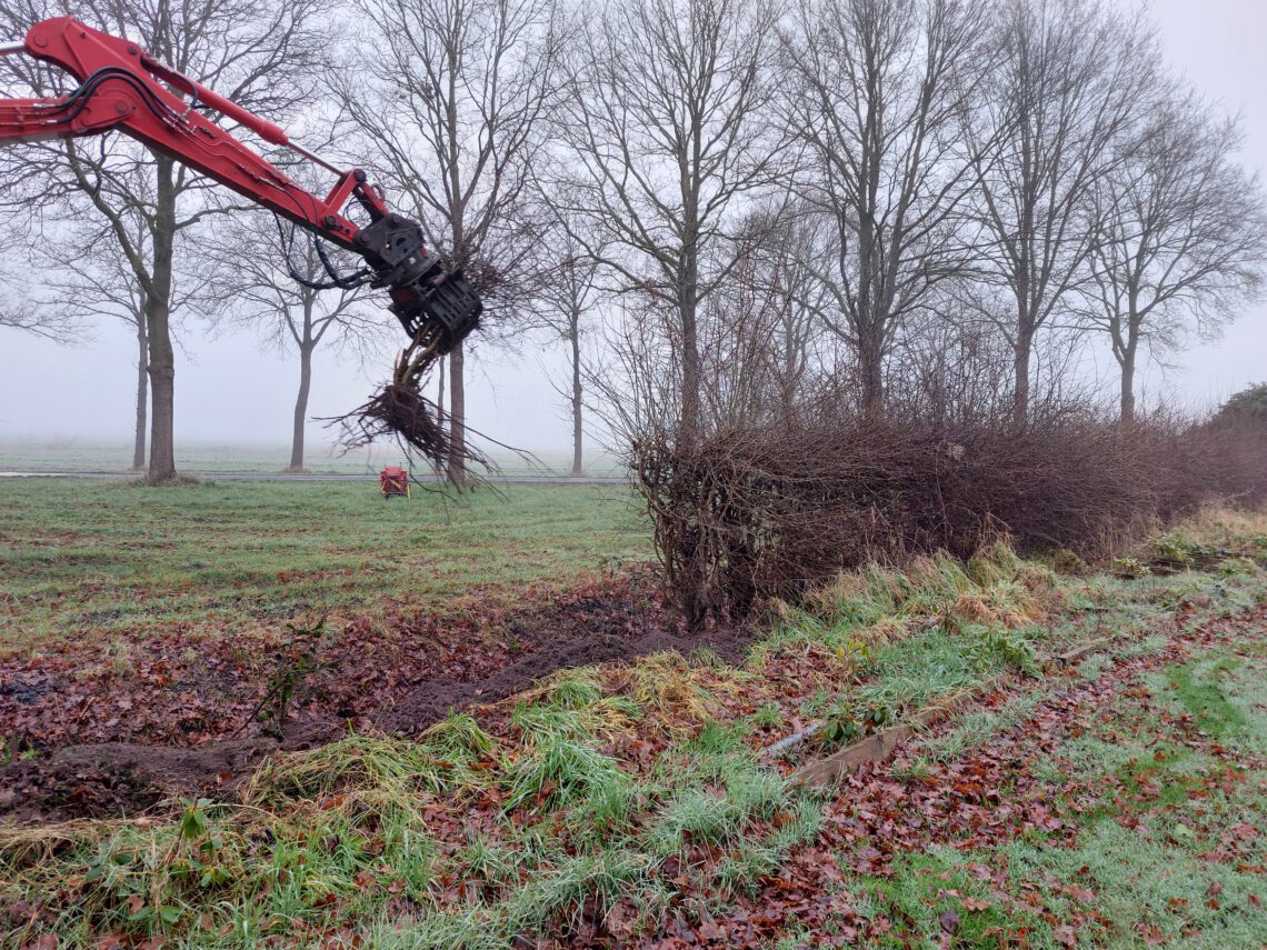 meidoornhaag verwijderen met kraan