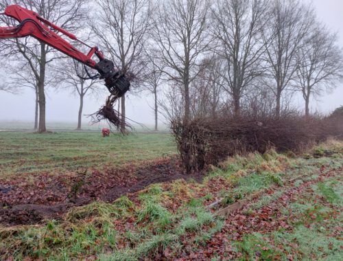 meidoornhaag verwijderen met kraan