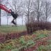 meidoornhaag verwijderen met kraan